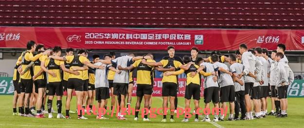 pg电子在线官网-英超薪资最高球员名单及其对球队建设的贡献