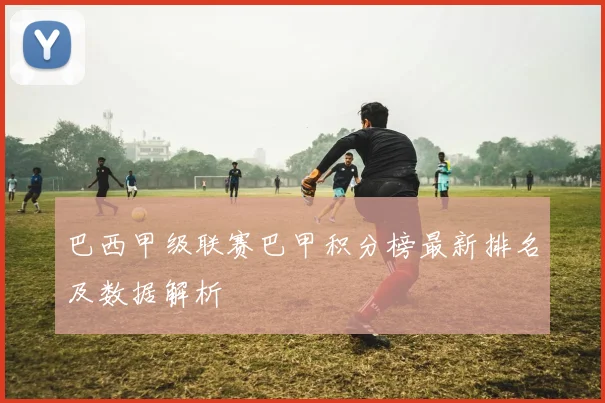 巴西甲级联赛巴甲积分榜最新排名及数据解析