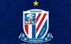 pg电子在线官网-2023年德甲球队身价的变化与市场趋势